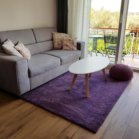 Apartman Luka Novigrad Istria エクステリア 写真